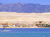 calimero