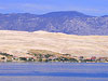 calimero