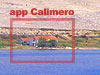 calimero